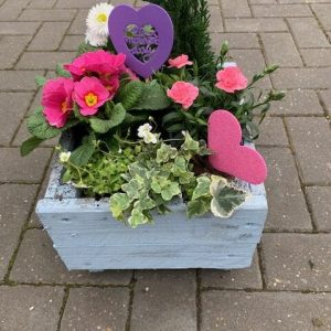 "Garden of Love""
