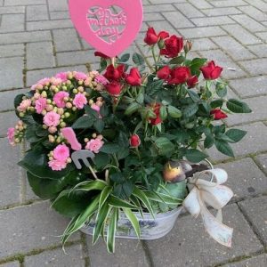 " Pot of Love"
