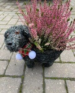 Grey Festive Dog