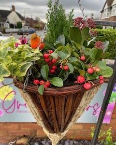 Christmas Hanging Baskets