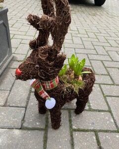 Standing Rudolph Planter
