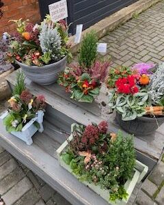 Christmas planters.